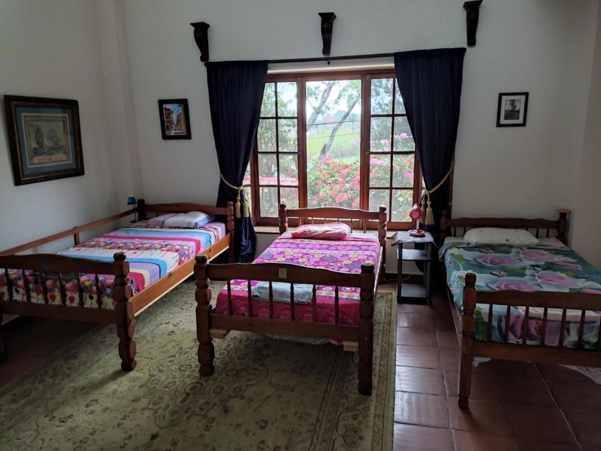 La Jungla Experience Lodgings - Vacation Home And Apartment Boquete Exterior foto