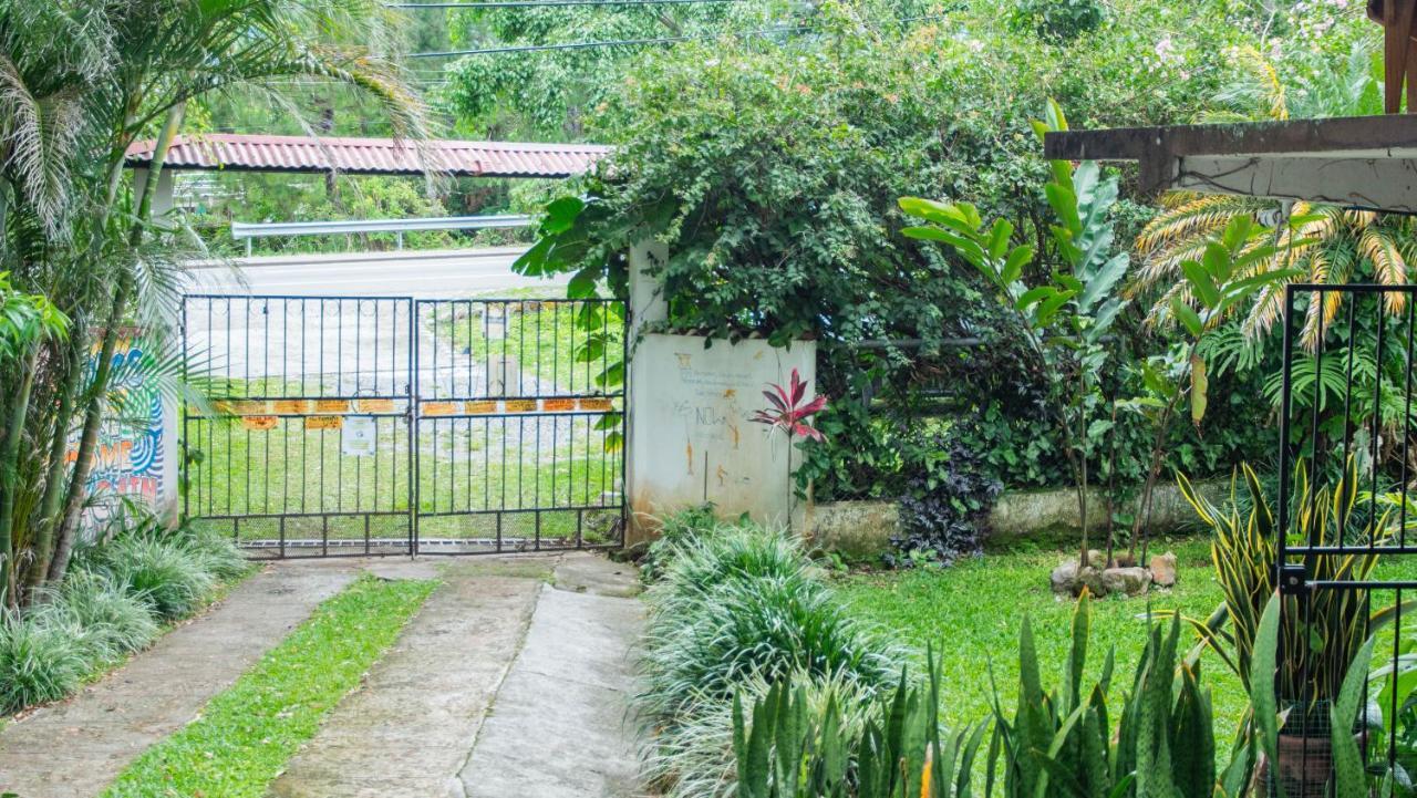 La Jungla Experience Lodgings - Vacation Home And Apartment Boquete Exterior foto