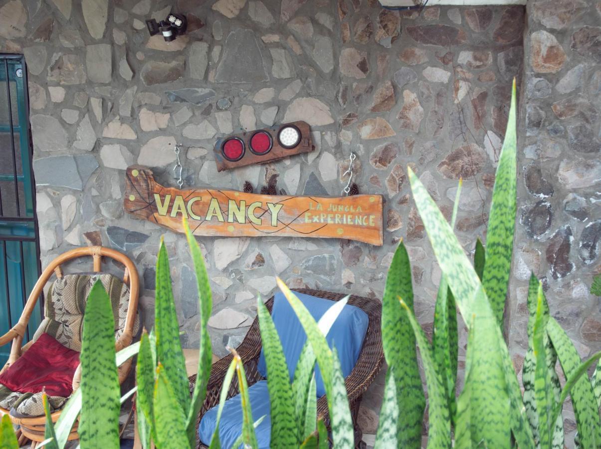 La Jungla Experience Lodgings - Vacation Home And Apartment Boquete Exterior foto